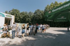 free_tree_bestof_d1-1