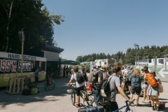 free_tree_bestof_d1-11