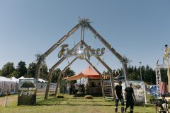 free_tree_bestof_d1-12