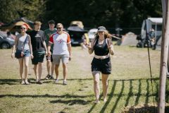 free_tree_bestof_d1-18