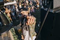 free_tree_bestof_d1-45