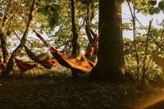 free_tree_bestof_d1-46