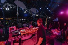 free_tree_bestof_d1-61