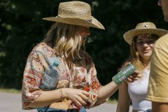 free_tree_bestof_d1-7