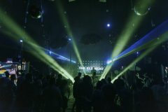 free_tree_bestof_d1-75