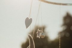 FreeTree25-_LauraMelone-00123