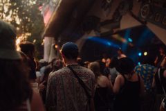 FreeTree25-_LauraMelone-00200