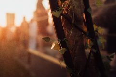 FreeTree25-_LauraMelone-00285