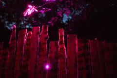 FreeTree25-_LauraMelone-00401