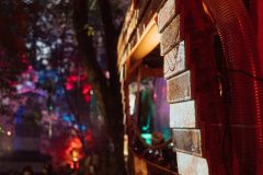 FreeTree25-_LauraMelone-00404