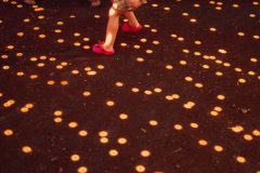 FreeTree25-_LauraMelone-00443
