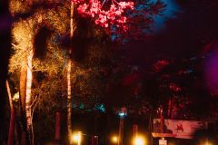 FreeTree25-_LauraMelone-00450