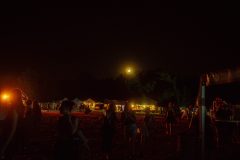FreeTree25-_LauraMelone-00613