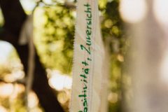 FreeTree25-_LauraMelone-00725