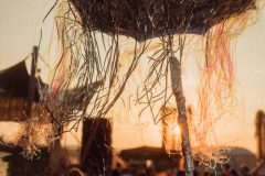 FreeTree25-_LauraMelone-01061