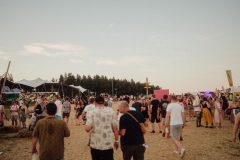 FreeTree25-_LauraMelone-01115