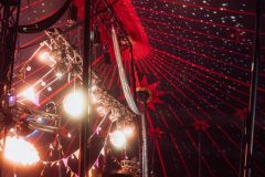 FreeTree25-_LauraMelone-01174