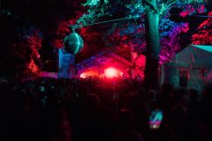 FreeTree25-_LauraMelone-01454