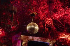 FreeTree25-_LauraMelone-01462