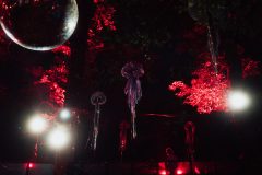 FreeTree25-_LauraMelone-01463