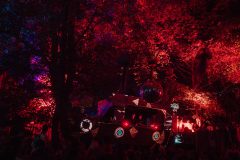 FreeTree25-_LauraMelone-01607