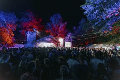 free_tree_bestof_d2-136